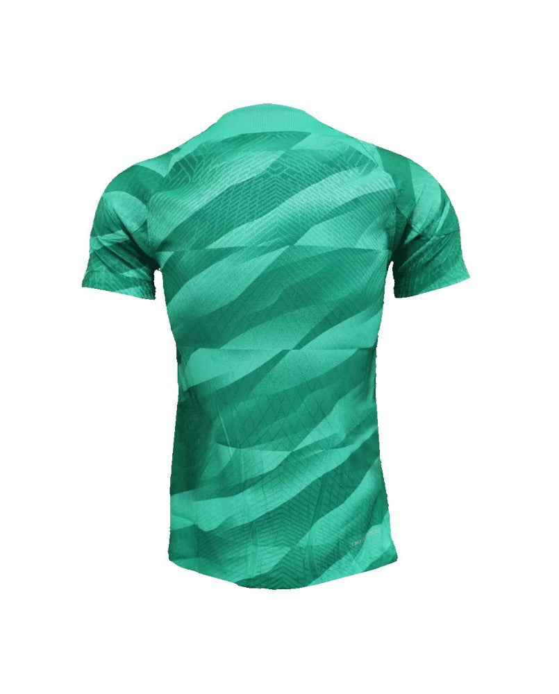 Maillot de Gardien PSG 2023/24 Authentique - Vert