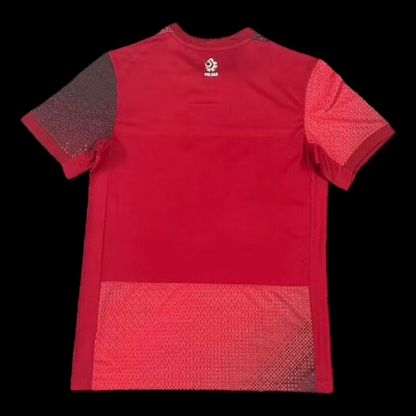 Pologne Maillot Extérieur 24/25