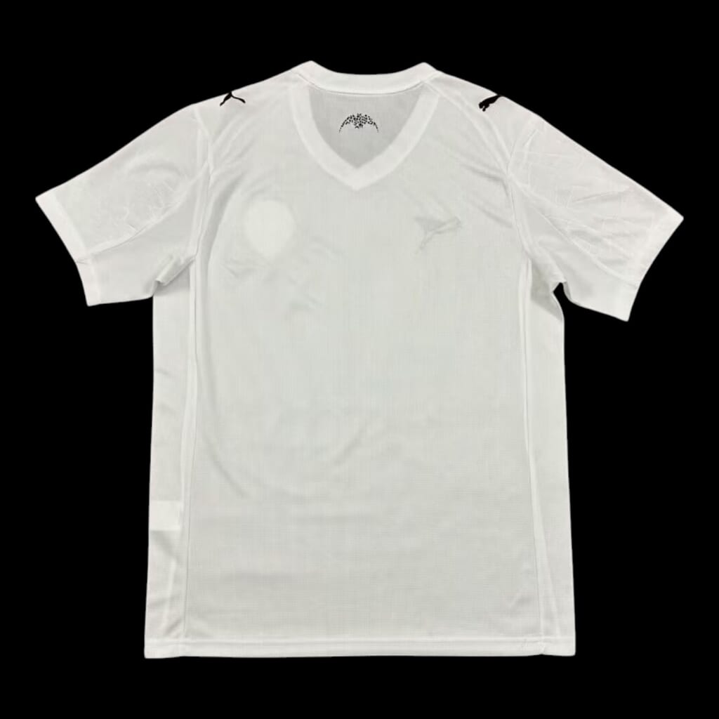 Valence Maillot Domicile