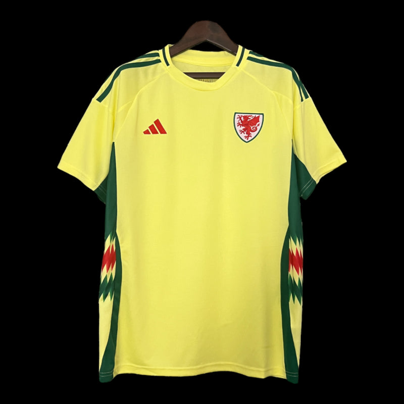 Pays Galles Maillot Extérieur 24/25