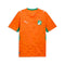 maillot cote d'ivoire