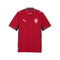 maillot république tchèque domicile