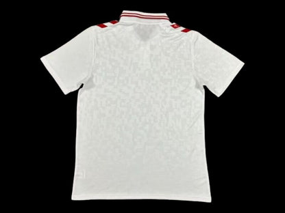 Danemark Maillot Extérieur 24/25