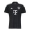 Maillot de Gardien Bayern Munich 2023/24 Noir