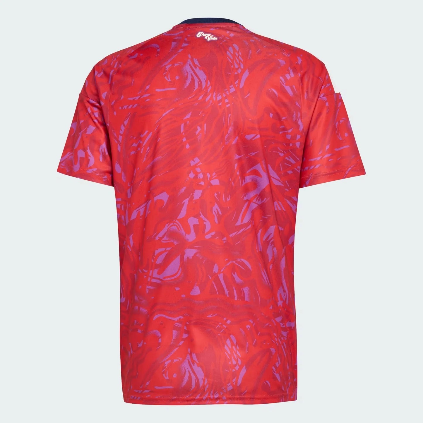 maillot Costa Rica  Domicile