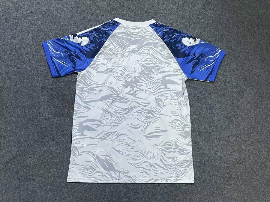 Maillot 25/26 Japon Spécial