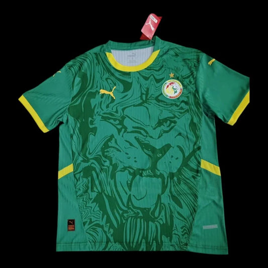 Sénégal Maillot Extérieur 24/25